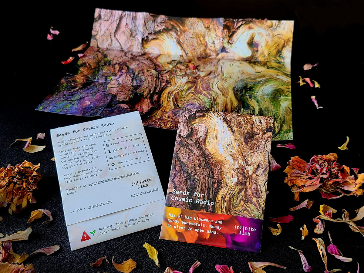 Seeds for Cosmic Radio physical format — seed pack